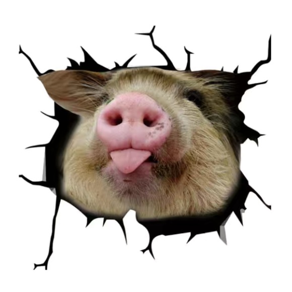 Large pig snout 3D sticker - Picture 2 of 3